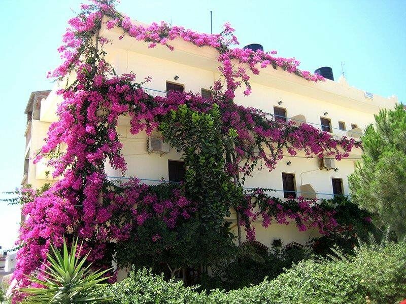 Knossos Hotel Kalamaki  Eksteriør bilde